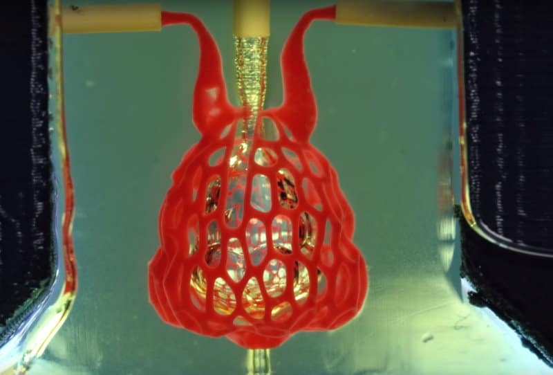 研究人員使用了水凝膠打印出模仿人體肺部功能的氣囊