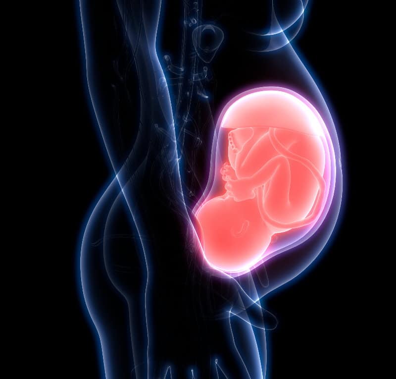 妊娠毒血症會影響嬰兒在子宮裡成長的T-細胞水平 