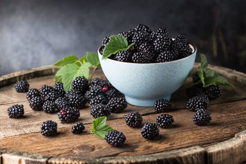 每100克的黑莓含有 4-5克的糖、5.3克的纖維和 1.39克的蛋白質，屬低糖水果之一。