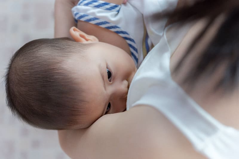 如哺乳媽媽接觸到催淚煙後，應一至兩小時避免母乳餵哺。