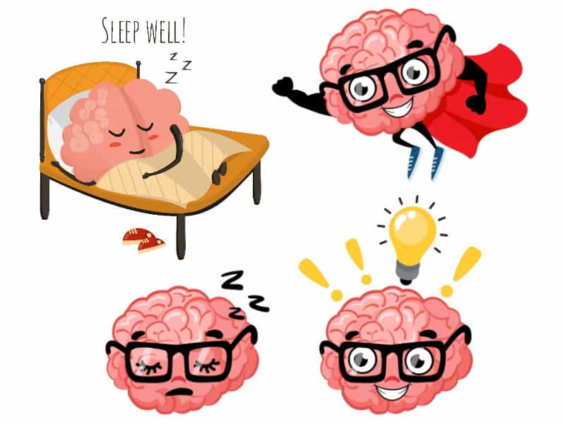 睡眠不足會影響大腦功能運作，包括專注力、生產力和認知能力。 