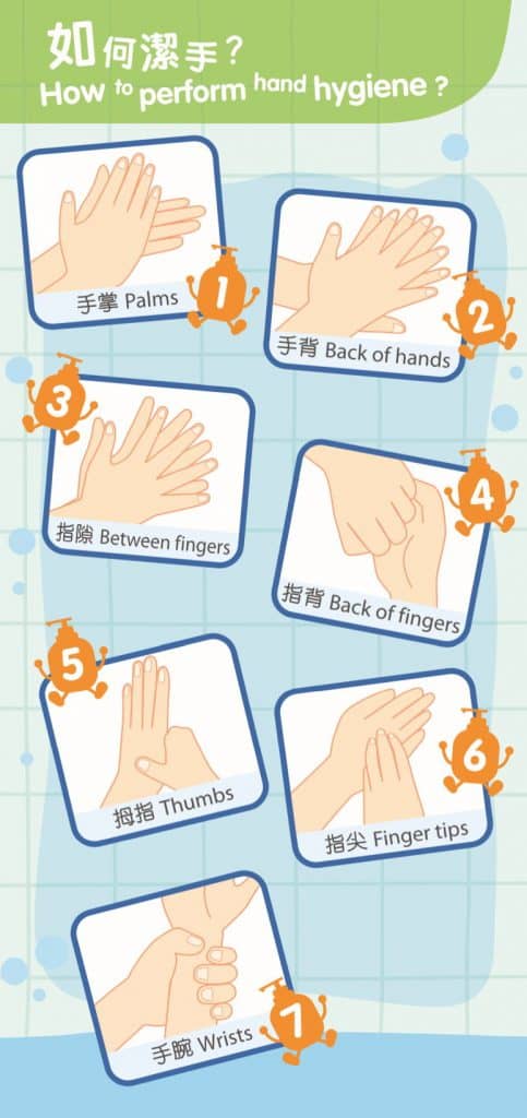 『潔手7步驟』來揉擦手掌、手背、指隙、指背、拇指、指尖  及手腕各處，至少 20 秒。